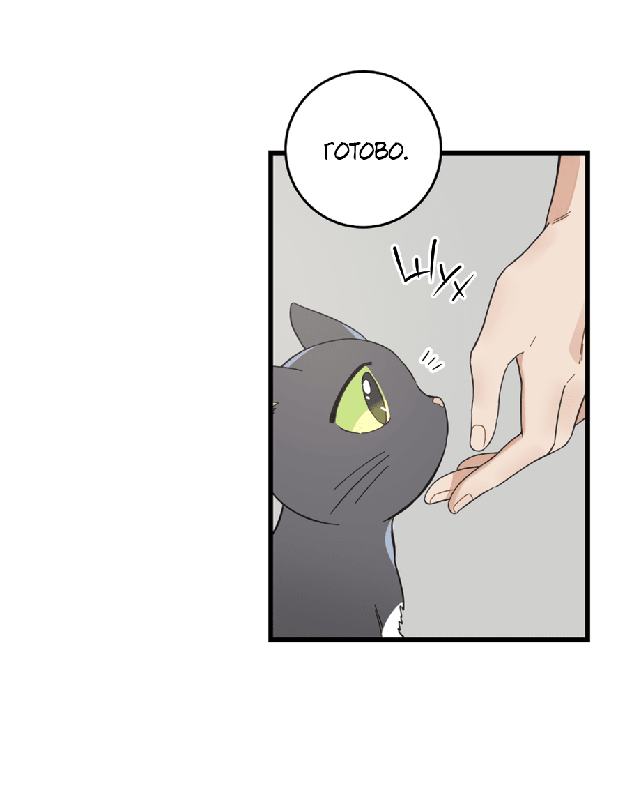 Манга Мой единственный кот - Глава 54 Страница 31