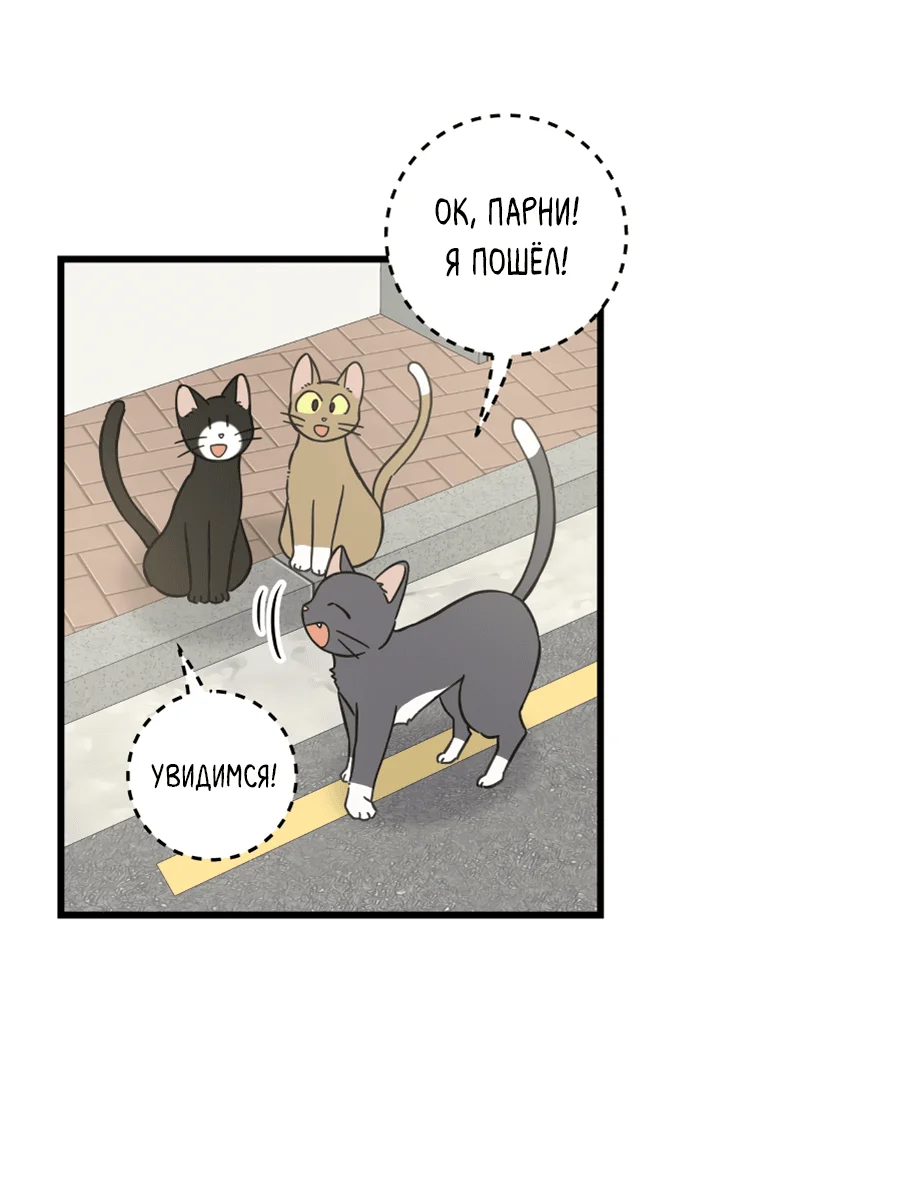 Манга Мой единственный кот - Глава 54 Страница 21