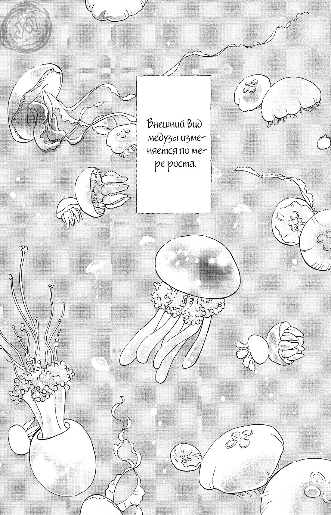 Манга Принцесса — медуза - Глава 81 Страница 2