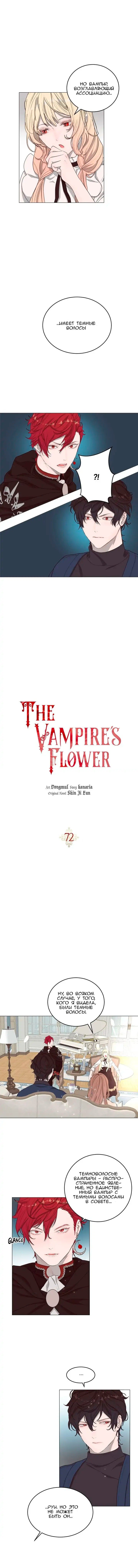 Манга Вампирский цветок 2 - Глава 20 Страница 3