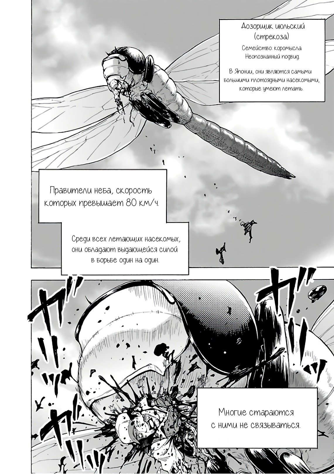 Манга Остров насекомых-гигантов - Глава 22 Страница 35