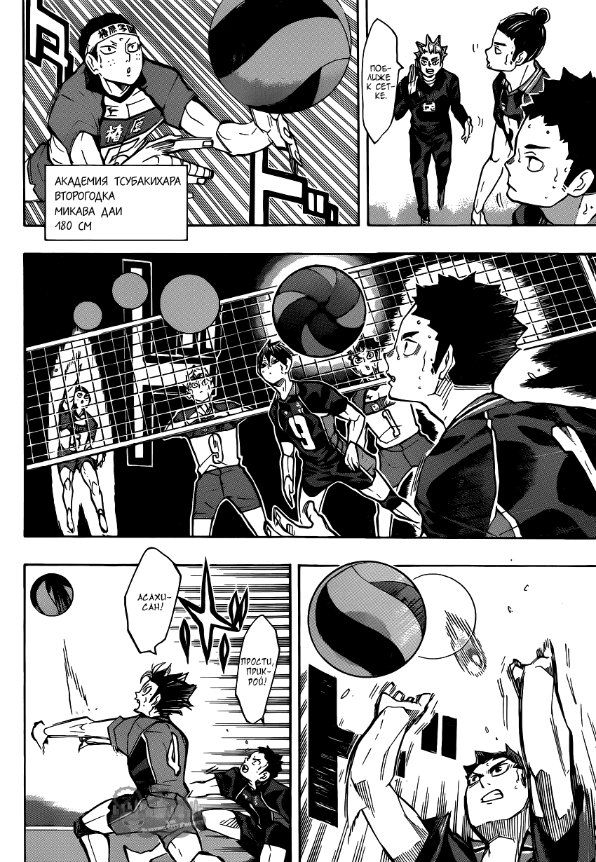 Манга Волейбол!! - Глава 238 Страница 8