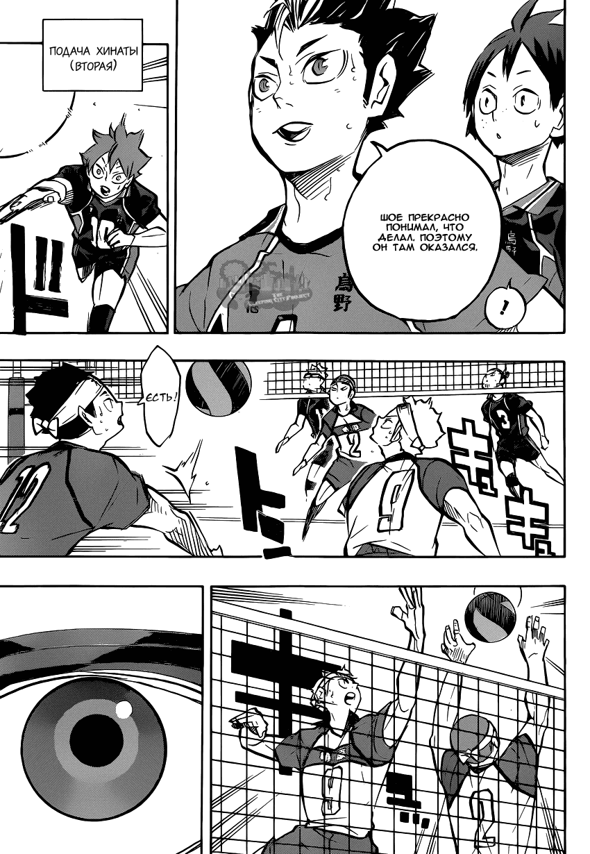 Манга Волейбол!! - Глава 237 Страница 5