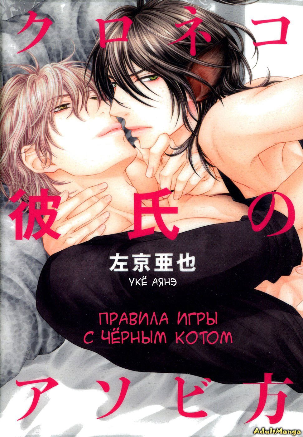 Правила игры с чёрным котом читать мангу Kuroneko Kareshi no Asobikata  онлайн